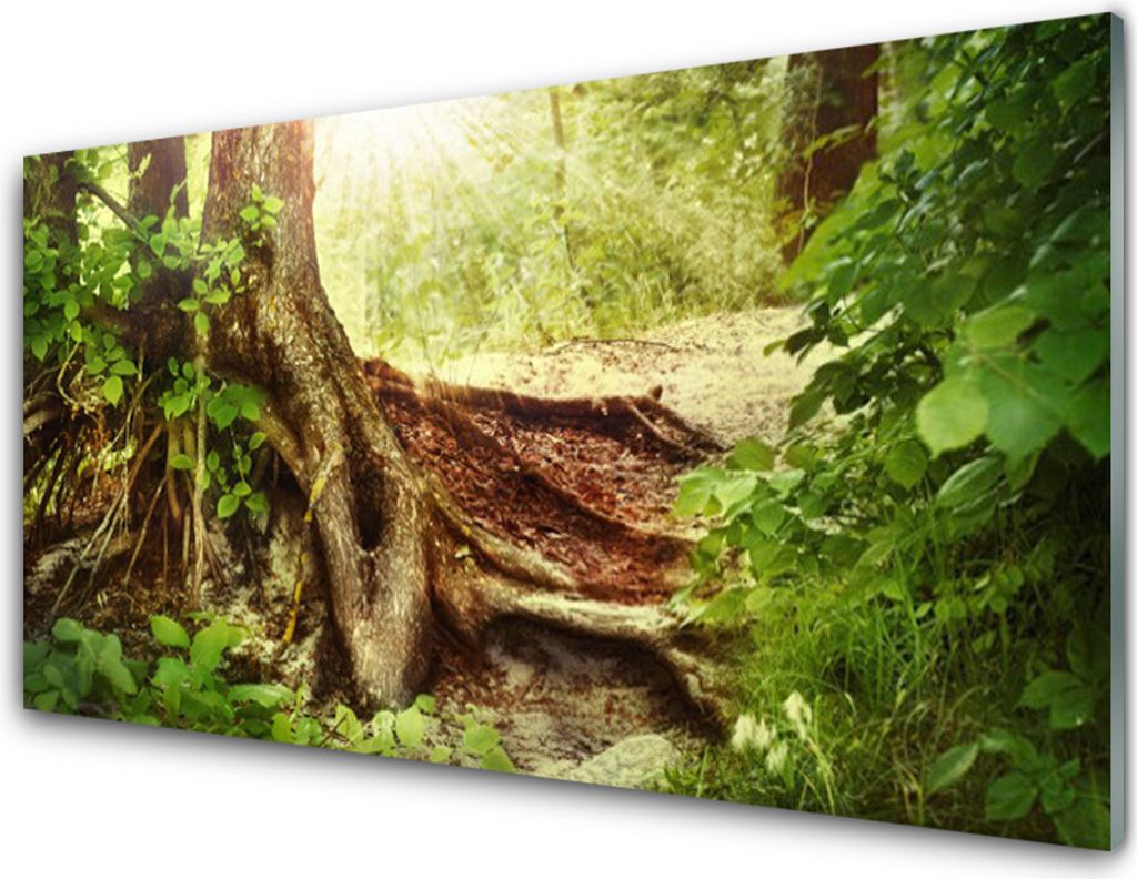 Küchenrückwand aus Glas 100x50cm Spritzschutz Baumstamm Natur