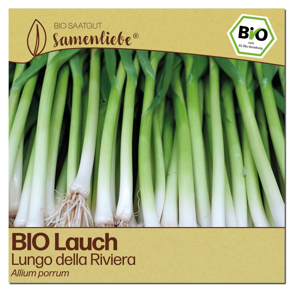 Samenliebe  Lauch Samen | Lungo della Riviera - winterhart Produktbild 
