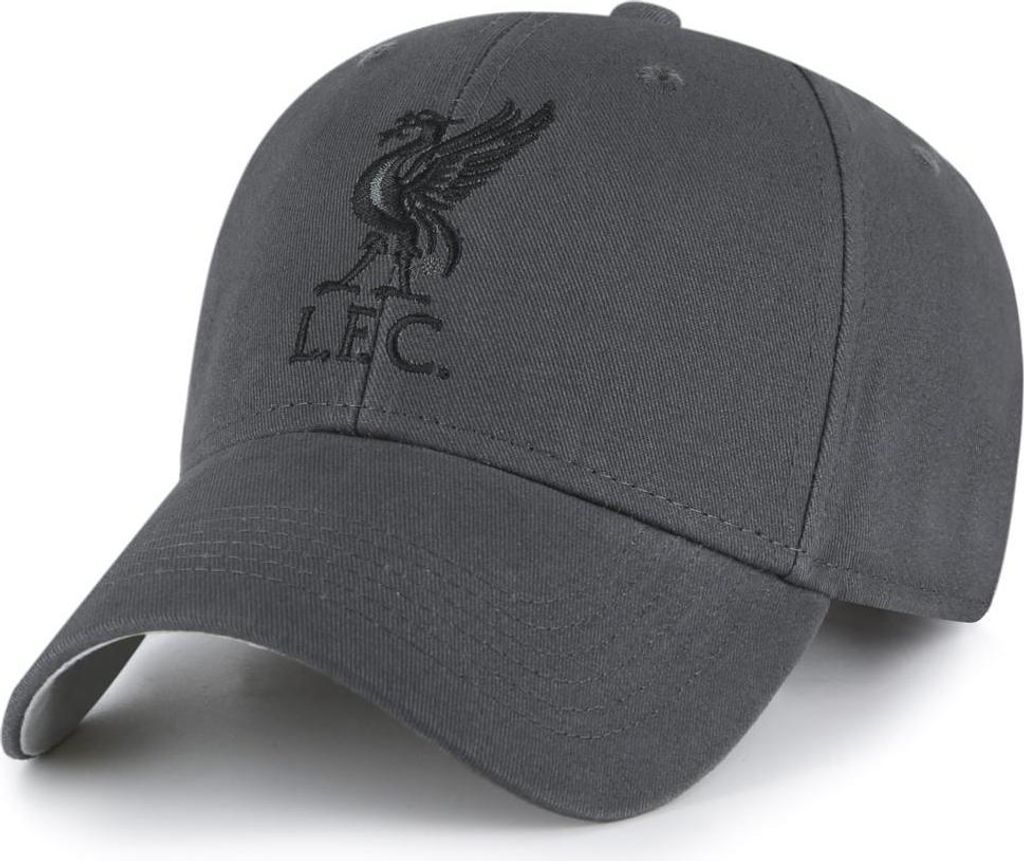 Liverpool FC - Herren/Damen Uni Kappe "Core" TA8135 (Einheitsgröße) (Anthrazit)