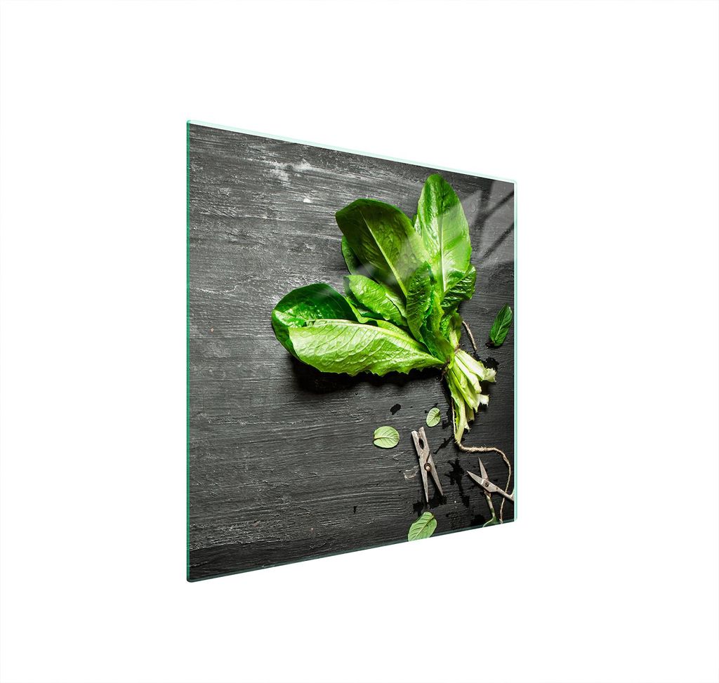 Glasschutzplatte Für Herd 50X52 Basil