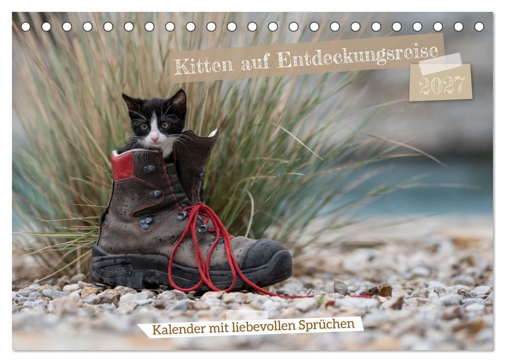 Kitten auf Entdeckungsreise (Tischkalender 2027 DIN A5 quer), CALVENDO Monatskalender