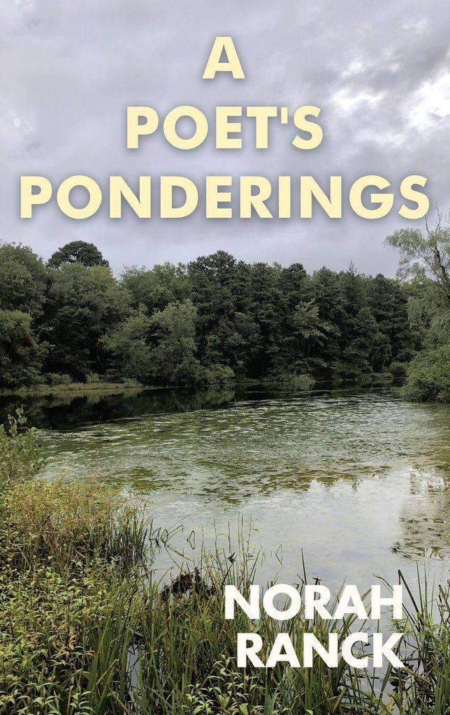 A Poet's Ponderings