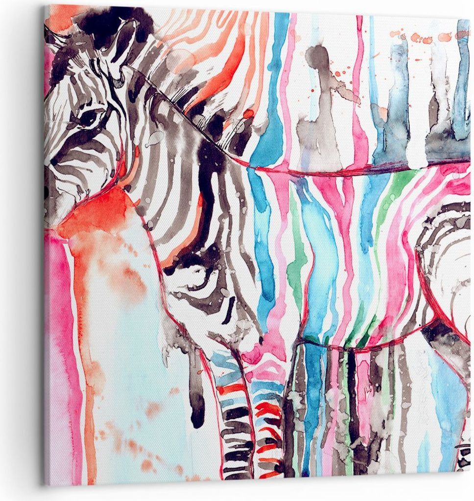 Bild auf Leinwand - Leinwandbild - Zebra Tiere Natur bunte - 50x50cm - Wand Bild - Wanddeko - Leinwanddruck - Bilder - Kunstdruck - Wanddekoration ...