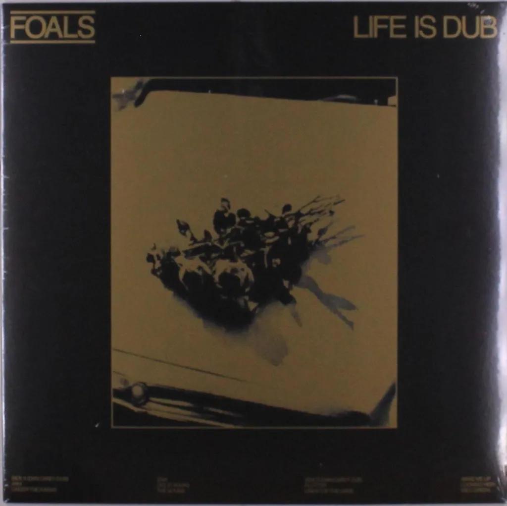 Foals Life Is Dub Vinyle : Ambiance Chill et Groove pour votre Platine