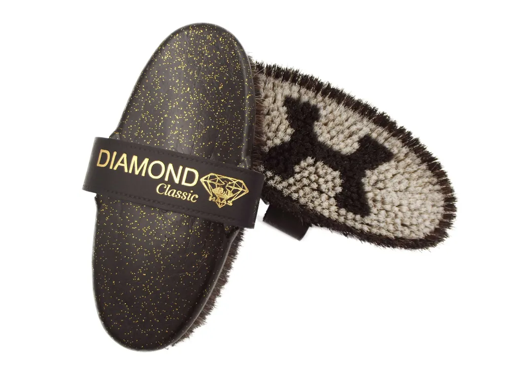 Brosse à cardes Haas Diamond Classic noire, lustrer robe avant concours
