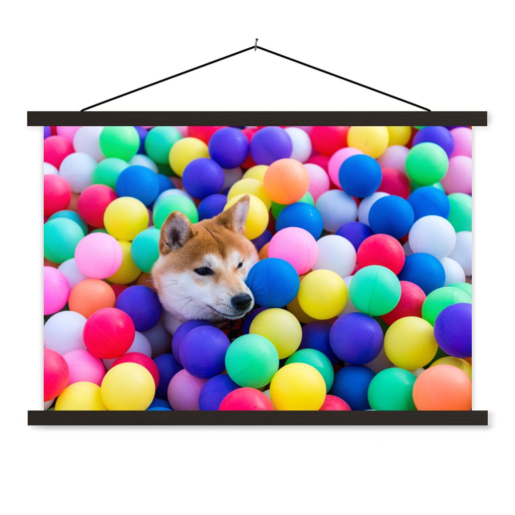 Textilposter - Shiba-Hund zwischen farbigen Bällen - 150x100 cm - mit schwarzen Rahmen