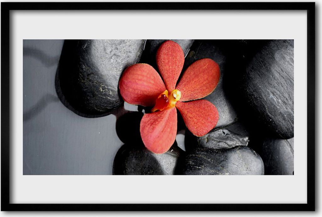 Bild 60x40 MDF-Rahmen Wandkunst Blumen-Stones-Kunst