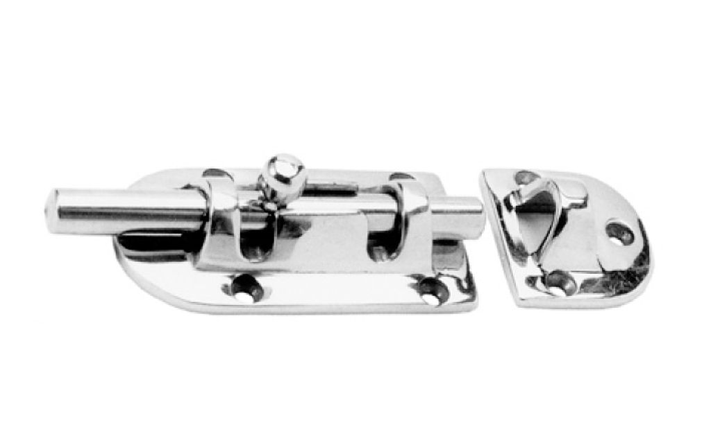 Magnolia soulangeana Genie - Tulpenmagnolie Genie