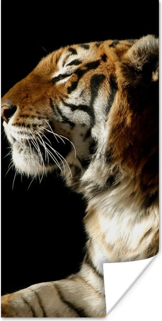 MuchoWow Poster Tiger - Tiere - Schwarz 75x150 cm - Dekoration für die Wände