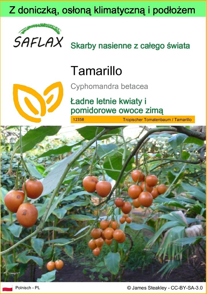 SAFLAX - Garden to go - Tamarillo - 50 Nasiona - Z Zdjęcie produktu 