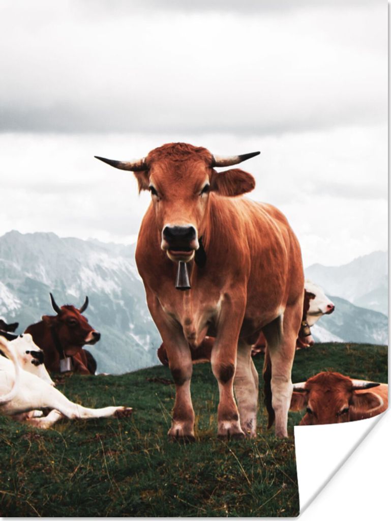 MuchoWow Poster Tiere - Kuh - Berg 60x80 cm - Schlafzimmer Dekoration