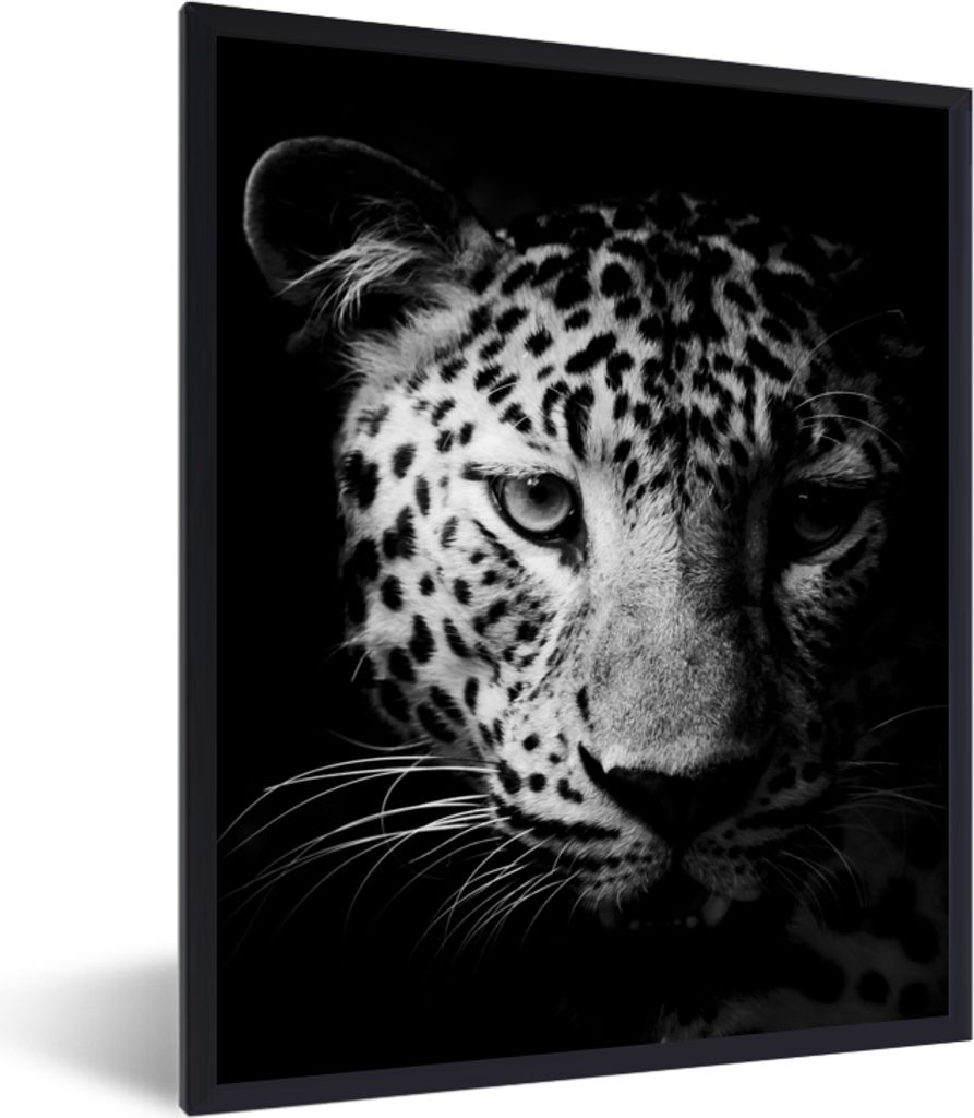 MuchoWow Gerahmtes Poster Panther - Wildtiere - Schwarz und weiß - Tiere 30x40 cm - Poster mit Schwarzem Bilderrahmen Wandposter Rahmen Foto Bil...