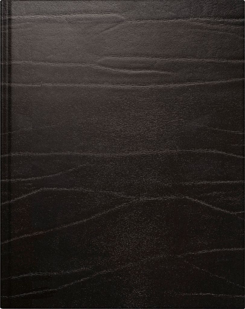Buchkalender Managerkalender TM 20,5x26cm 1 Woche/2 Seiten Produktbild 