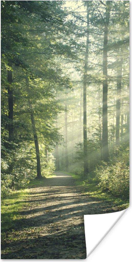 MuchoWow Poster Wald - Weg - Sonne - Bäume - Grün - Natur 80x160 cm - Kinderzimmer
