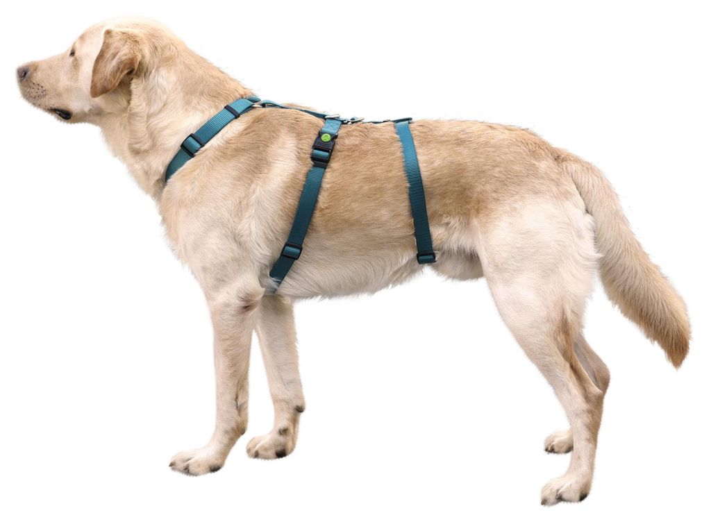 Kerbl Panikgeschirr Miami (Halsumfang 38 - 52 cm, Obrázek produktu 