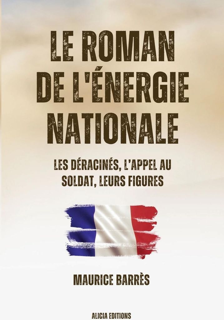 Le roman de l'énergie nationale
