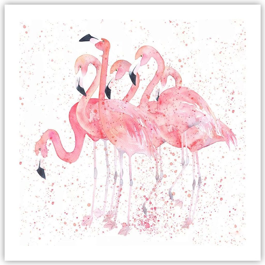 Poster - Poster ohne Rahmen - Flamingo Vogel Wasser - 60x60 cm - Wand Bild - Wanddeko - Wandbilder - Kunstposter - Wandposter - Bilder - Kunstdruck...