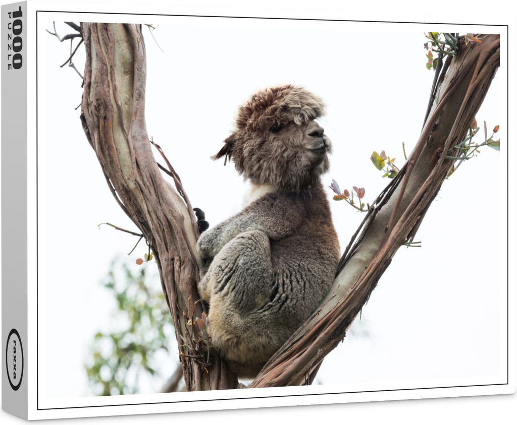 raxxa Premium-Puzzle "Koalama", 1000 Teile Produktbild 