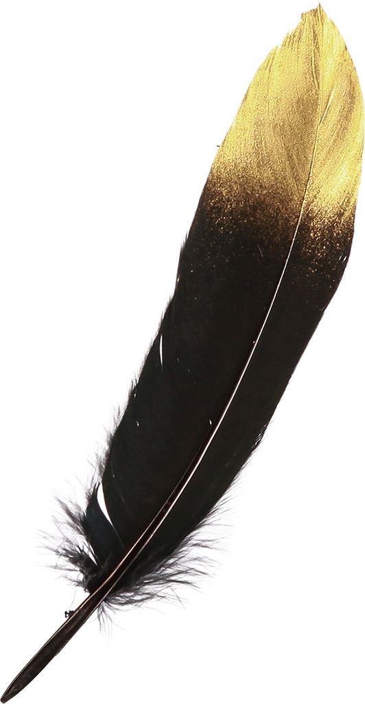 Gänsefedern Deko Schwarz Gold 15-20cm Hochwertige Echte Federn für Dekoration und Basteln Luxus Set 50St