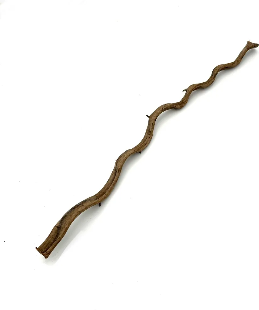 Liane BioThai 50cm : la solution naturelle pour éviter le stress des reptiles - 4