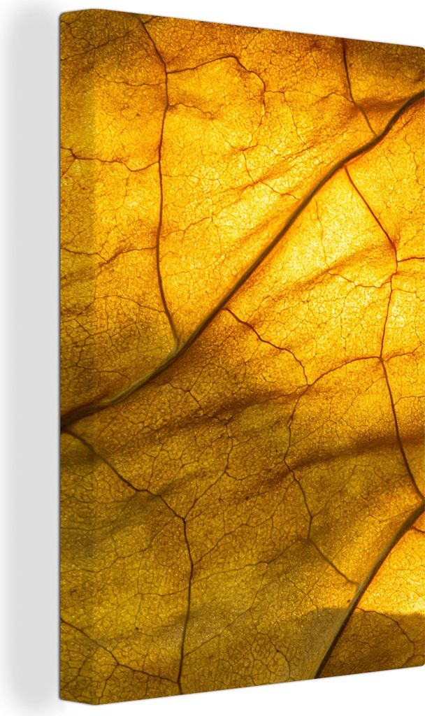 OneMillionCanvasses - Leinwandbilder - 90x140 cm, Blätter - Natur - Gelb, Wandbilder Kunstdruck Wanddekoration - Foto auf Leinwand - Gemälde au...
