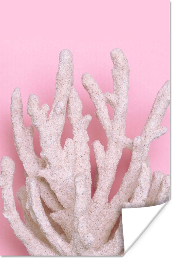 MuchoWow Poster Koralle - Rosa - Sommer 20x30 cm - Papierdruck