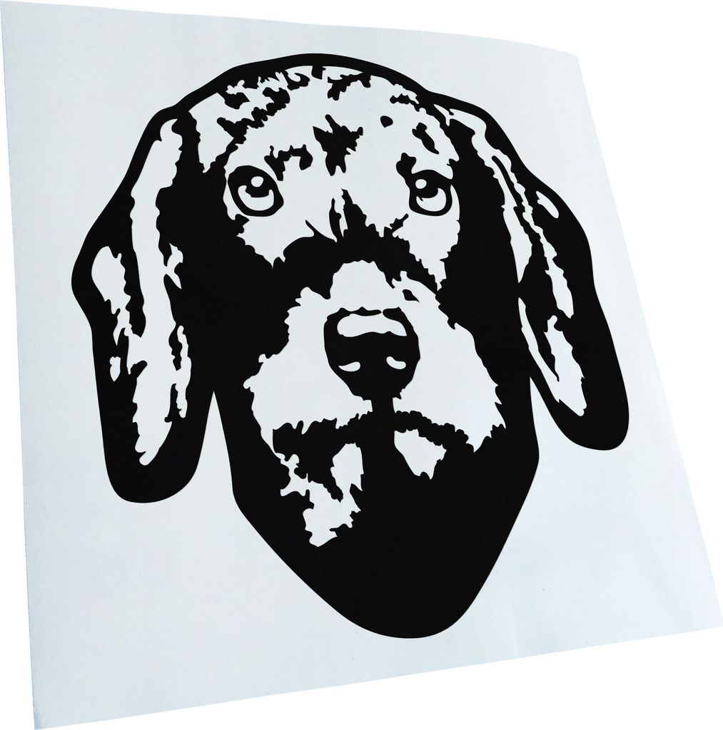 Kiwistar - Autoaufkleber - Plott Hund - Schwarz - 40x36cm - Aufkleber für Auto, Laptop, Fahrrad, LKW, Motorrad Mehrfarbig JDM Decal Racing