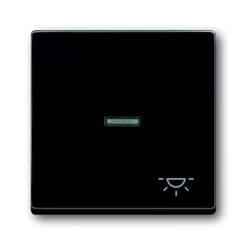 Plaque bascule anthracite 1789 LI-81 Busch-Jaeger pour salon et pro
