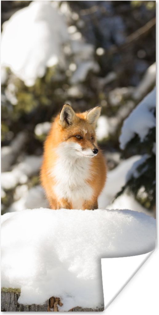 MuchoWow Poster Fuchs - Schnee - Baum 80x160 cm - Kinderzimmer