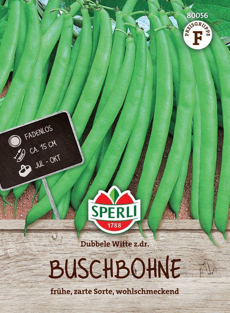 Bohnen - BuschBohnen - Dubbele Witte z. dr. von Produktbild 