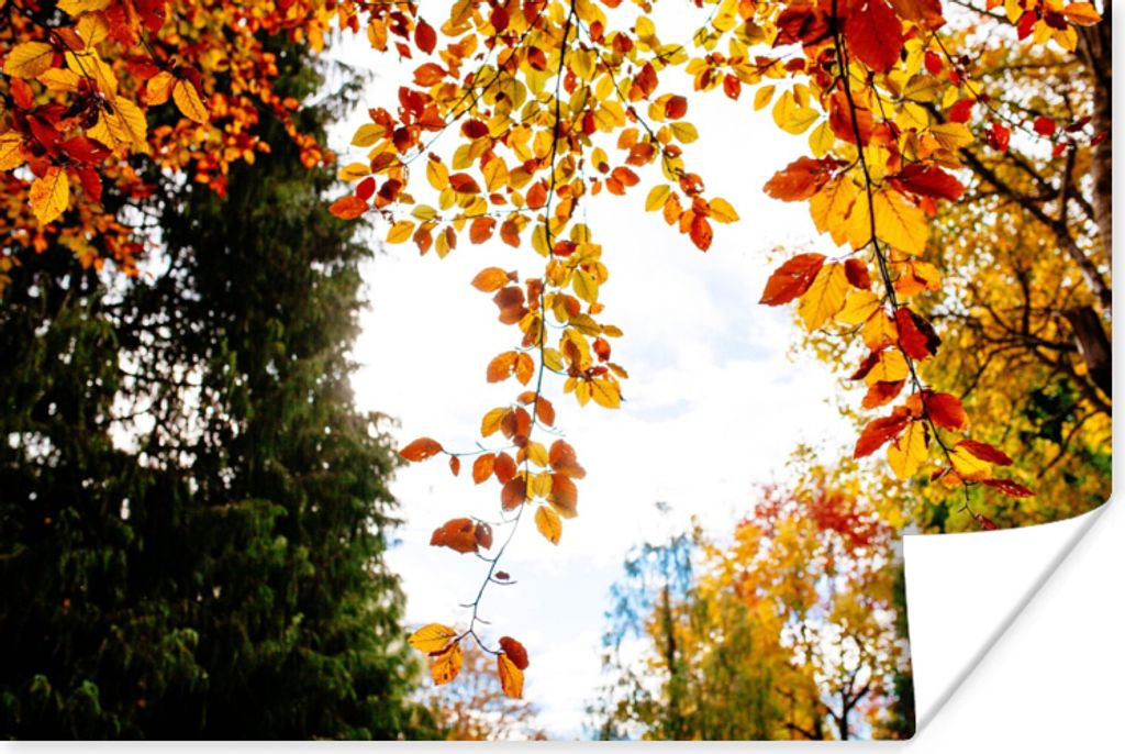 MuchoWow Poster Herbst - Laub - Natur 120x80 cm - Bilder