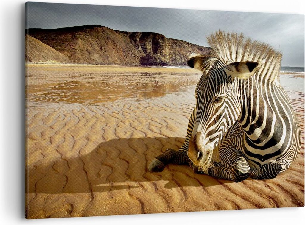 Bild auf Leinwand - Leinwandbild - Zebra Strand Landschaft - 100x70cm - Wand Bild - Wanddeko - Leinwanddruck - Bilder - Kunstdruck - Wanddekoration...