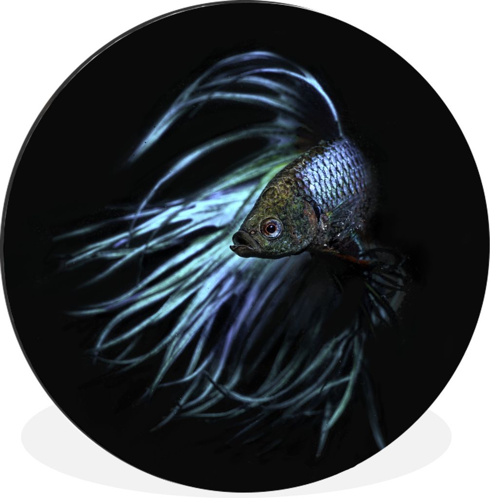 MuchoWow Aluminium Wandkreis Fische - Meerestiere - Blau - Schwarz Ø 30 cm Wanddeko Modern Wohnzimmer