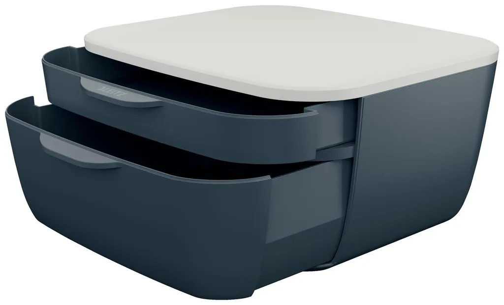 Organizzatore Scrivania Leitz 53570089 per Documenti A4 e Cancelleria - 2
