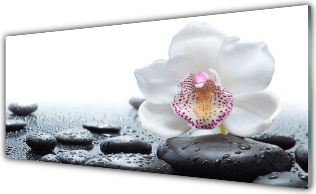 Küchenrückwand aus Glas 125x50cm Spritzschutz Blume Steine Kunst