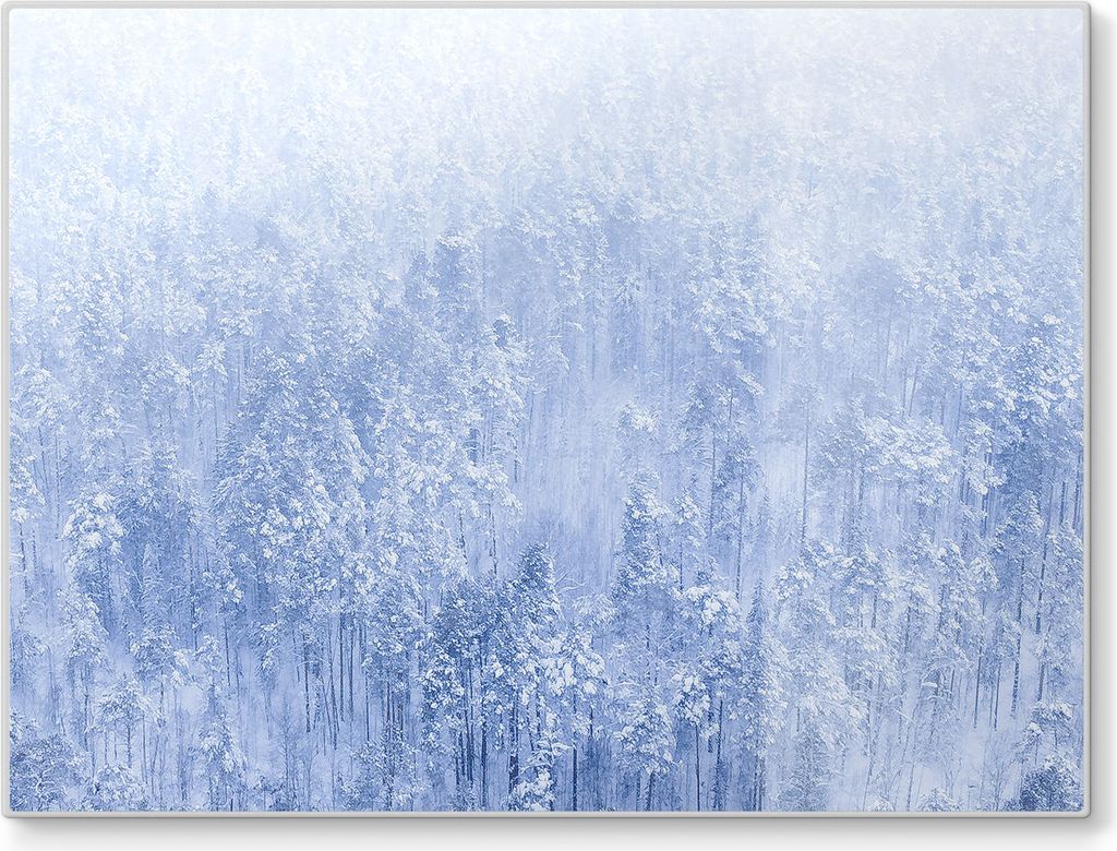 DEQORI Schneidebrett Glas 40x30 cm 'Winterwald in Weiß' Schneideplatte Servierplatte groß