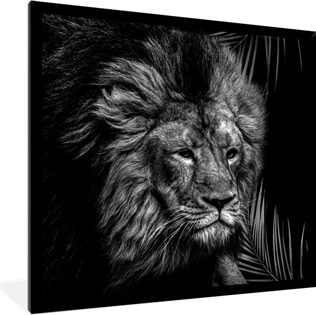 MuchoWow Gerahmtes Poster Löwe - Farn - Schwarz - Weiß 40x40 cm - Poster mit Schwarzem Bilderrahmen Wandposter Rahmen Foto Bilder - Mit Rahmen ...