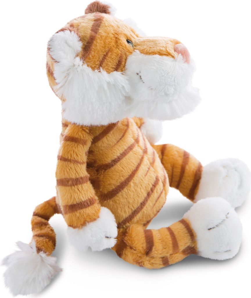 12 mola tiger