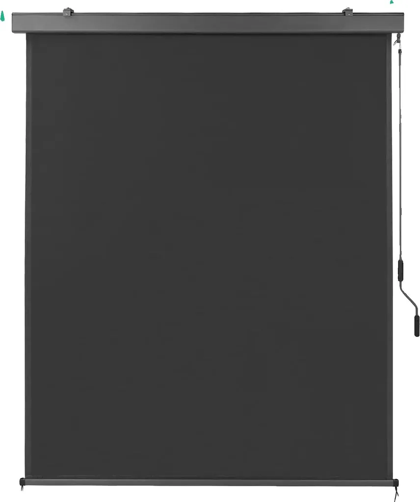 Store vertical extérieur 250 x 160 cm avec protection solaire efficace