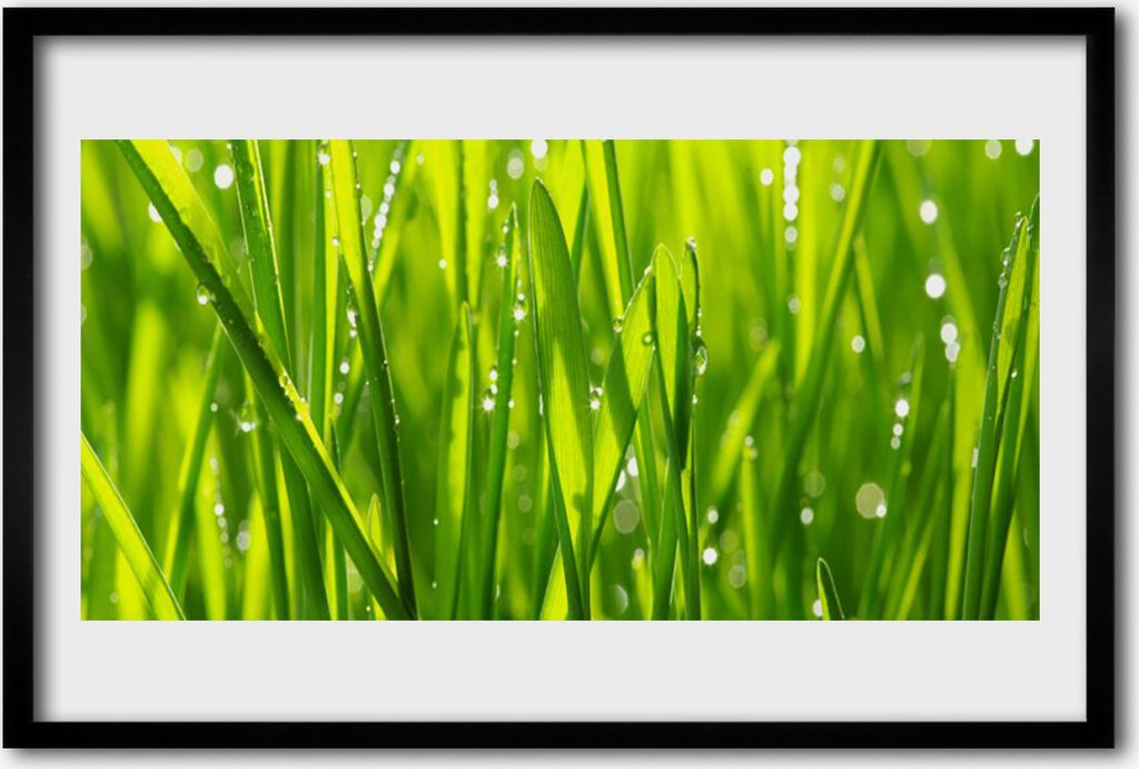 Bild 60x40 MDF-Rahmen Wandkunst Gras Natur Pflanze