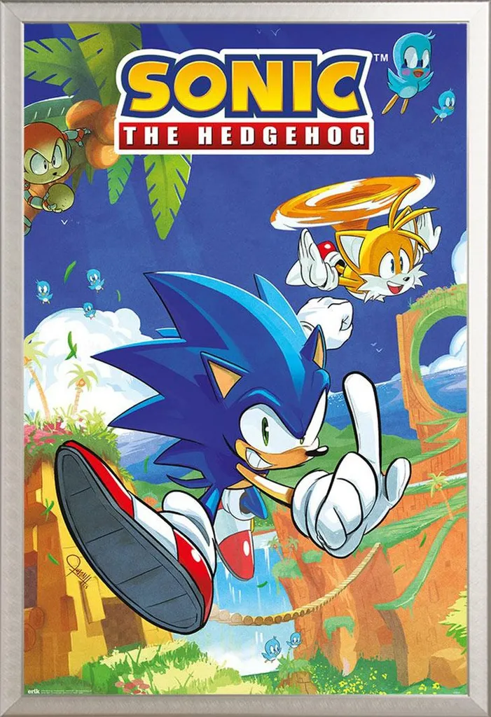 Cadre interchangeable Shinsuke® aluminium argent avec poster Sonic Tails
