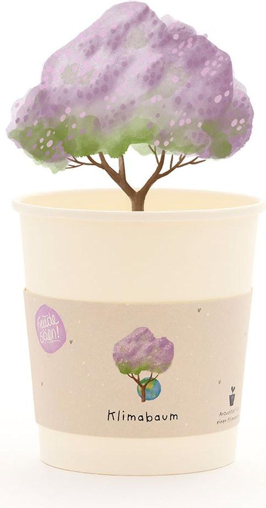 Paulownia Anzuchtset Klimabaum Becher Saatgut Samen Pflanzset Anzuchtbecher