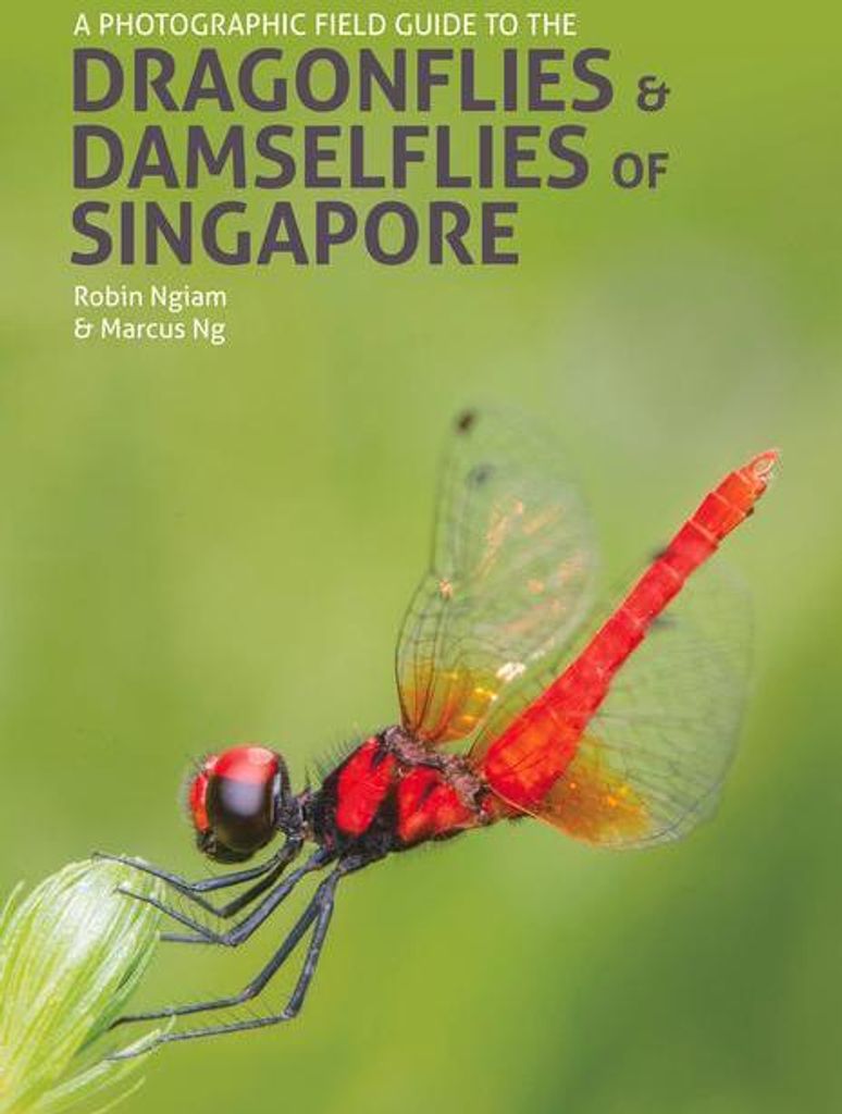 Dragonflies Damselflies Of Singapore – Lingua: Inglese