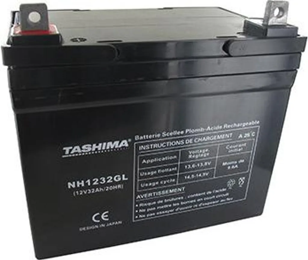 Batterie Tondeuse 12V 32Ah : Finissez-en avec les Problèmes de Démarrage
