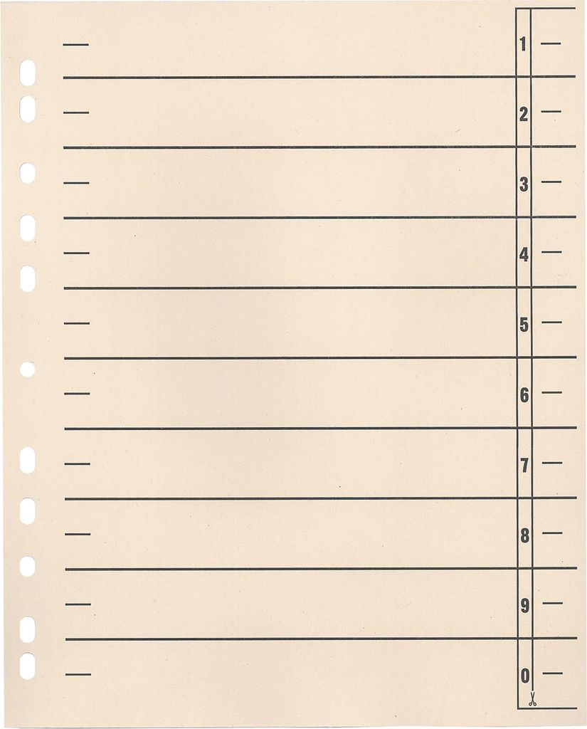 Trennblätter 24x30cm 190g 11fach gelocht chamois 100 Produktbild 