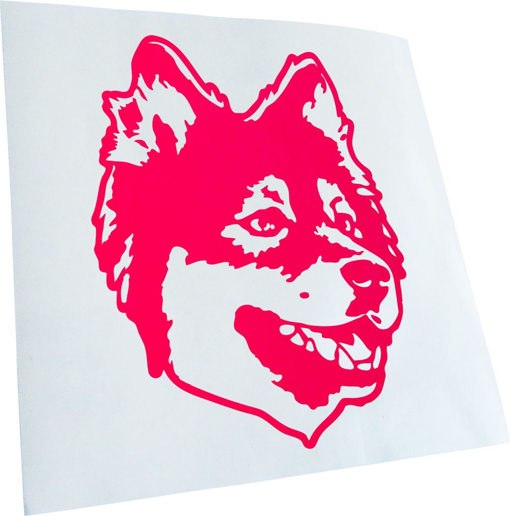 Kiwistar - Autoaufkleber - Finnish Lapphund Hund - Neonpink - 40x31cm - Aufkleber für Auto, Laptop, Fahrrad, LKW, Motorrad Mehrfarbig JDM Decal Ra...