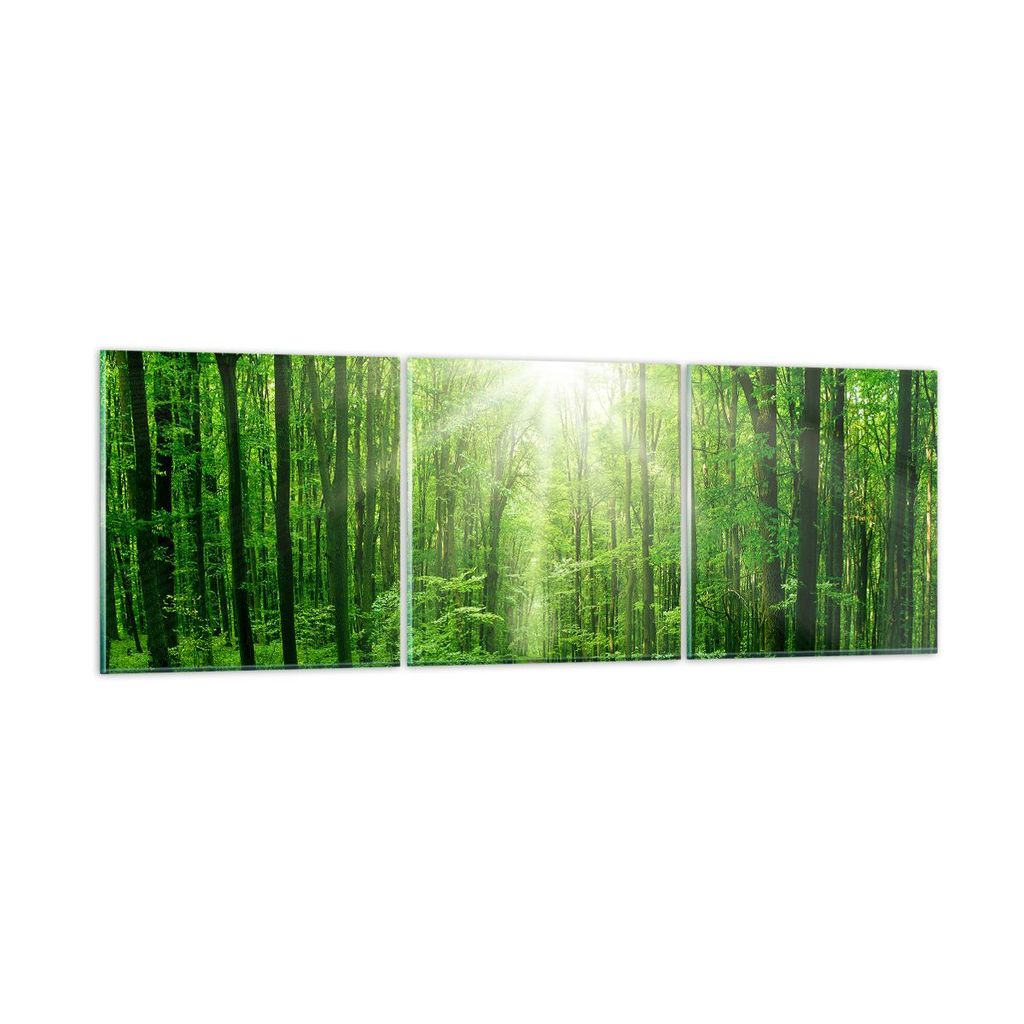 Bilder auf glas - Sonnenstrahlen Wald Sommer - 150x50cm - Glasbilder - Wandbilder - Kunstdruck - zum Aufhängen bereit - Wanddekoration aus Glas - ...