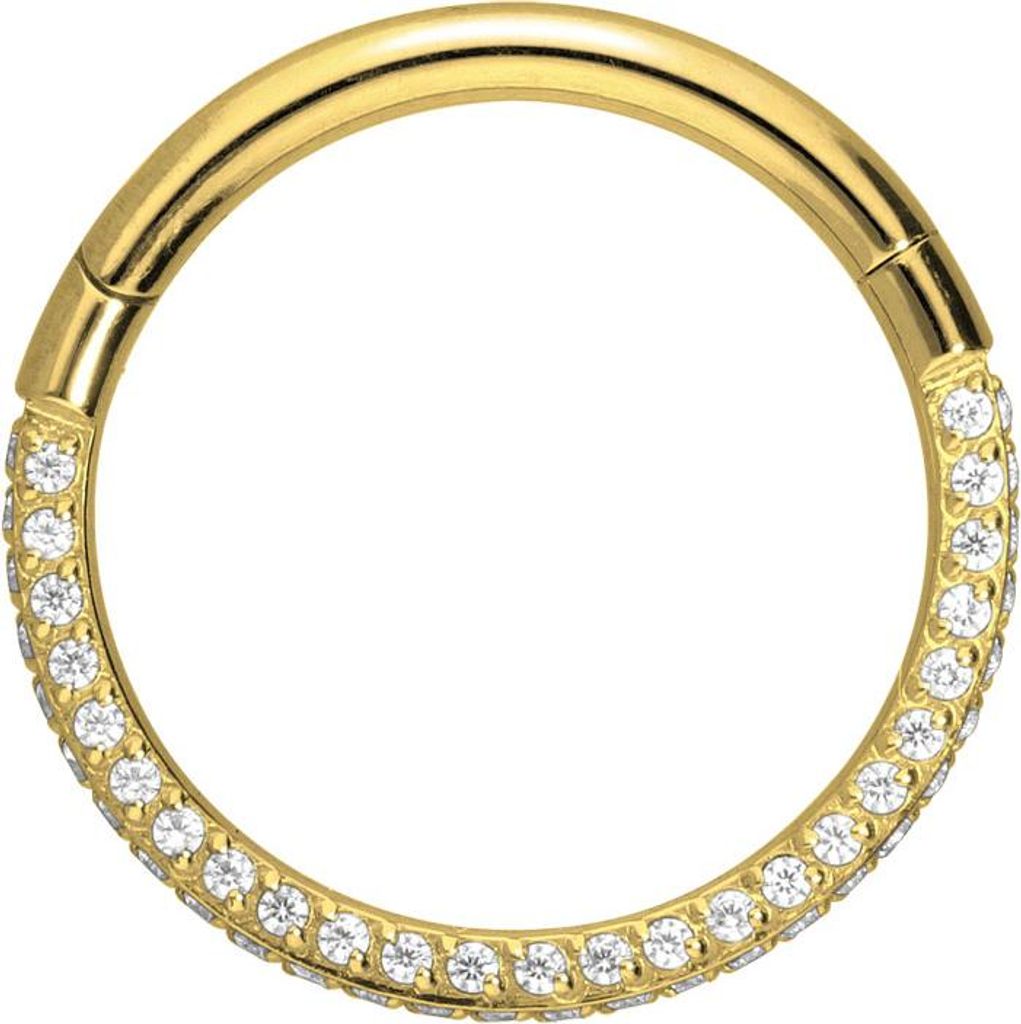 Ohrpiercing, Nasenpiercing, Septum Piercing Titan Segmentring Clicker KRISTALLRAND Gold Innendurchmesser: 10 mm