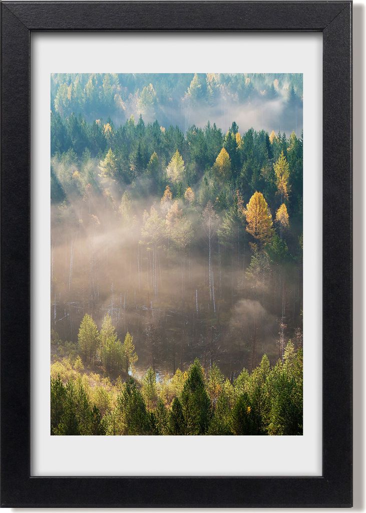 Bild 20x30 MDF-Rahmen, Wandkunst Nebel über dem Wald