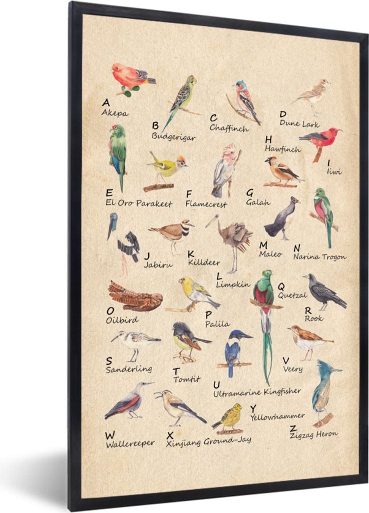 MuchoWow Gerahmtes Poster Alphabet - Vogel - Lehrreich - Retro - Buchstaben - Kind - Kinder 60x90 cm - Poster mit Schwarzem Bilderrahmen Wandpost...